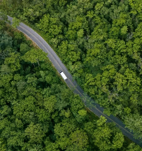En transport från Hjalmarssons Åkeri längs skogsvägarna kring Tingsryd och Urshult.